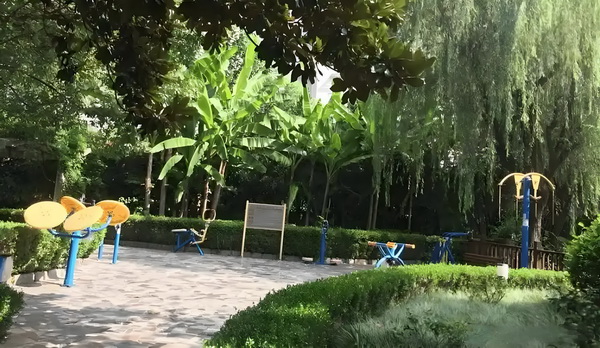 非应届毕业生深圳入户最快多久_陈佩斯电影《戏台》：嬉笑过后，无尽悲凉 无尽悲与透院实服务福利